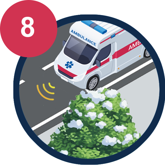8. Emergency vehicles