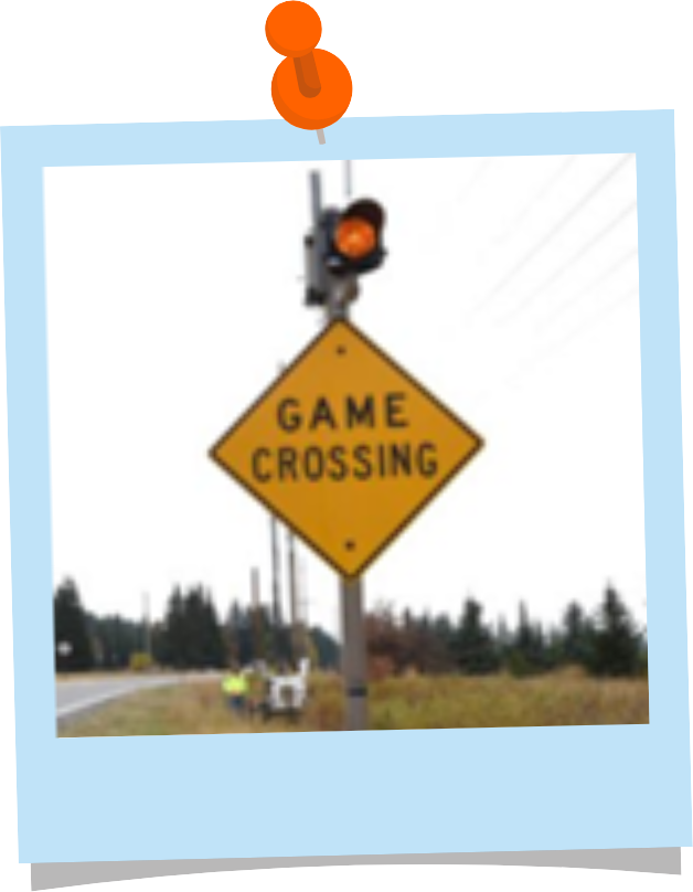 A yellow diamond road sign that reads "game crossing." On top of the sign is a blinking light.