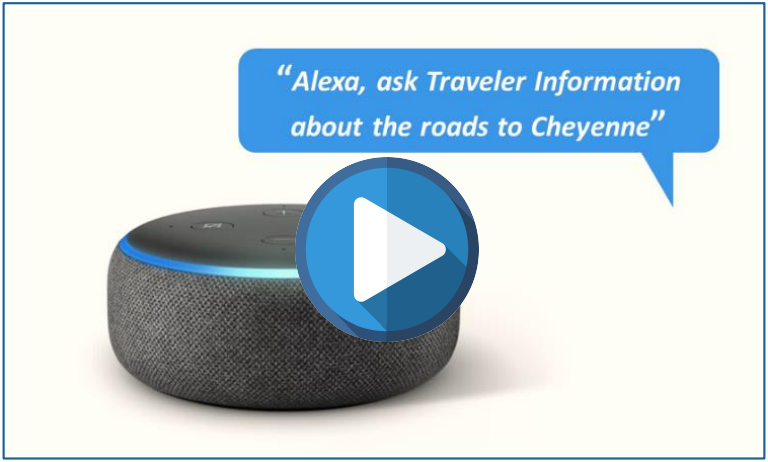 A voice-activated virtual assistant used to check traveler information. 