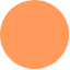 Light orange circle. This circle corresponds to the 60% slice of the pie chart.